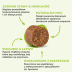 SwissVet Joint Care