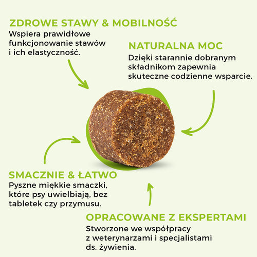 SwissVet Joint Care