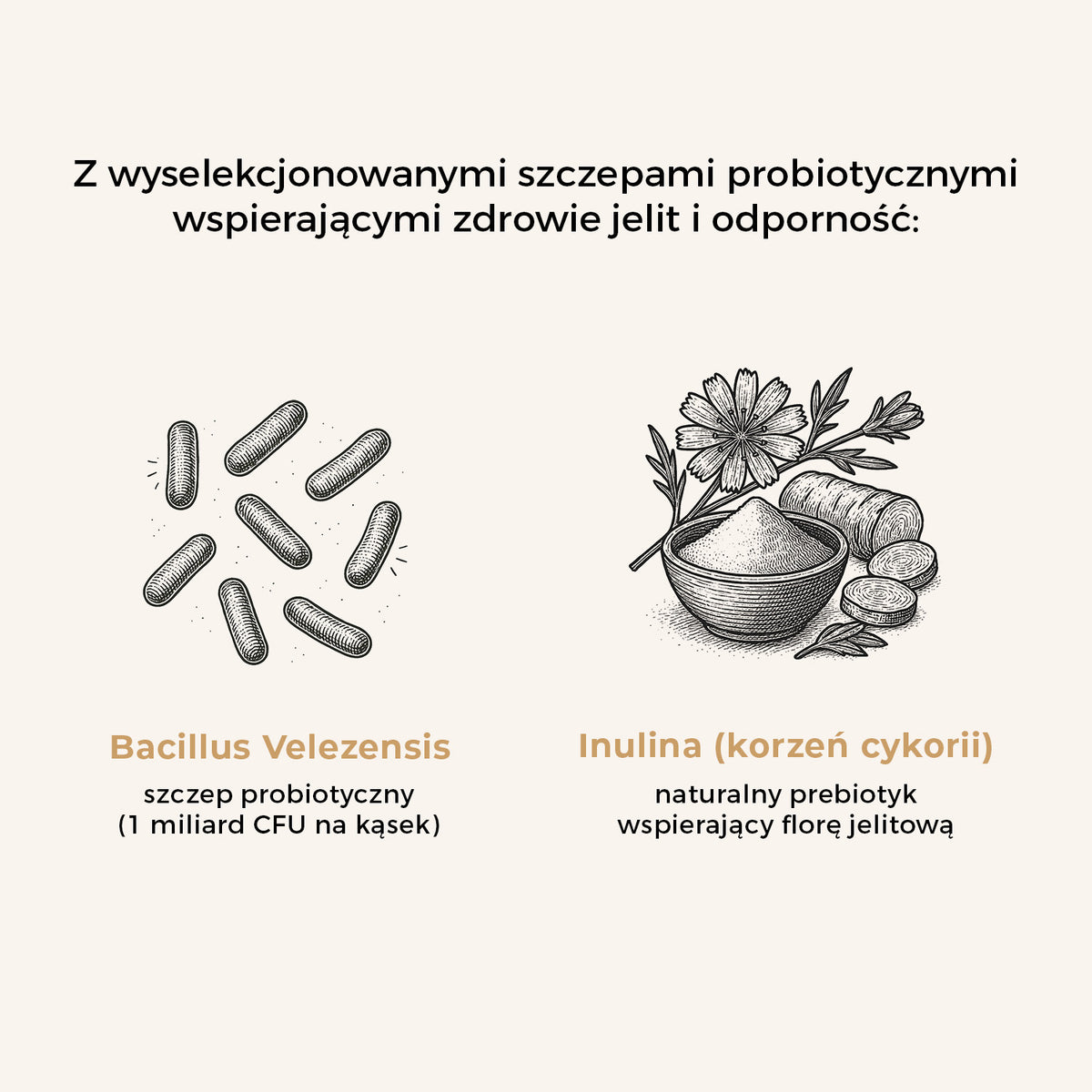 SwissVet Probiotics